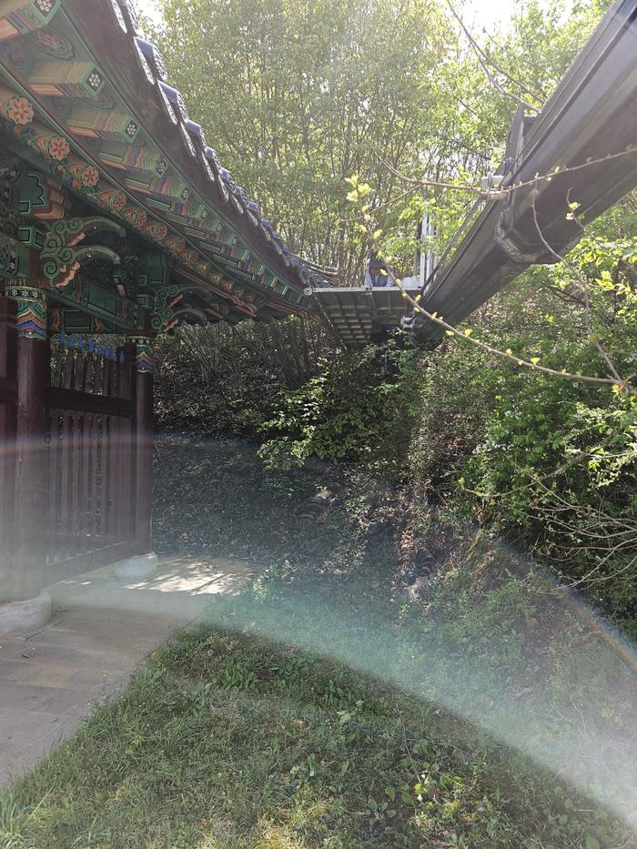 235149625_OdwvWYo6_0f75482cd53ae3427b7ebb6c9bcd041c58c1ced4.jpg 이미지크게보기