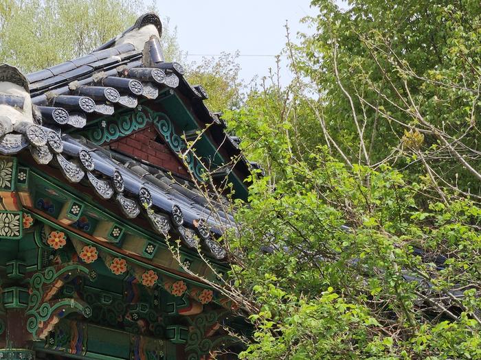 235149625_Ov61LQAW_53dad29b04ca8b9af8e67ae650e0abd1baa86b38.jpg 이미지크게보기