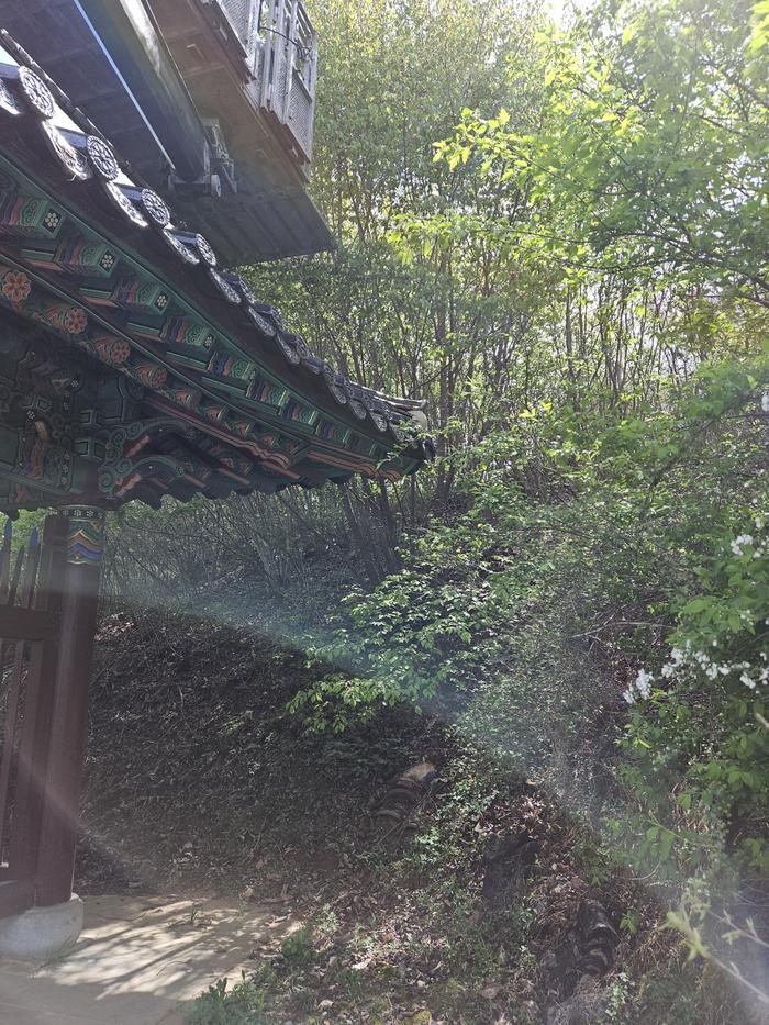 235149625_goUDBwAK_022657b9ee67699f4df5dfe4f58561daf3f4949f.jpg 이미지크게보기