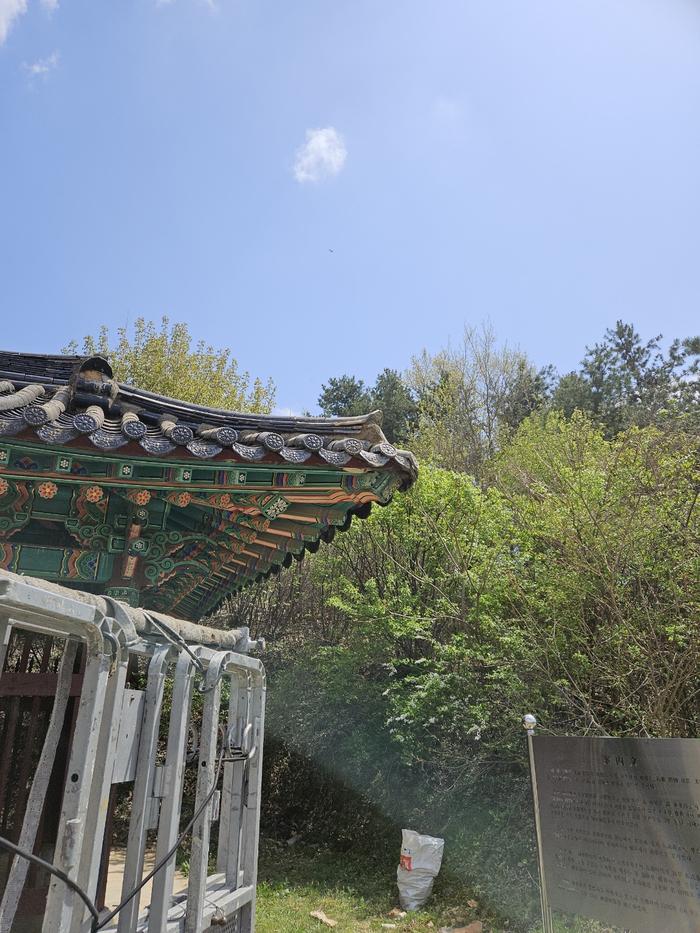235149625_yLXfGghe_881208ad27242564ff4d328ae5ef0ea83bd7edd6.jpg 이미지크게보기
